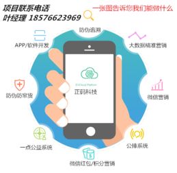 商品防竄貨系統軟件開發全解析 從需求到落地的技術方案